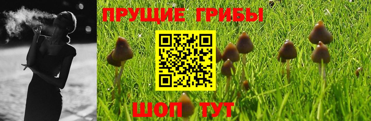 Сургут  Псилоцибиновые грибы ЛСД  Вход с VPN 